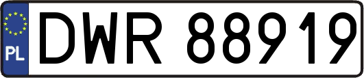 DWR88919