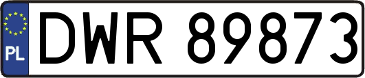 DWR89873