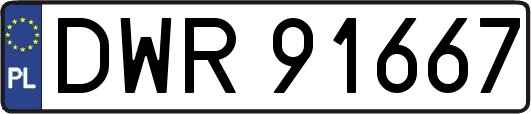 DWR91667