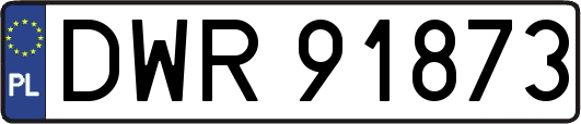 DWR91873