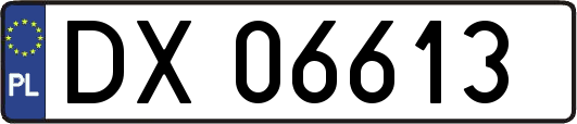 DX06613