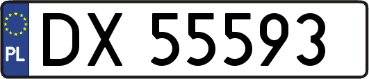 DX55593