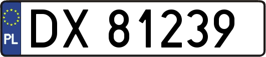 DX81239