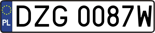 DZG0087W