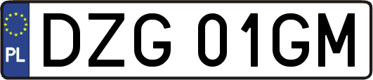 DZG01GM