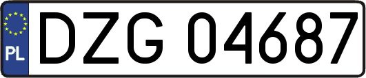 DZG04687