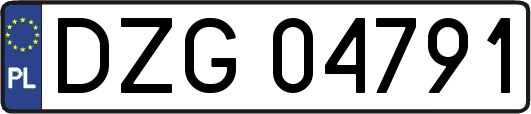 DZG04791