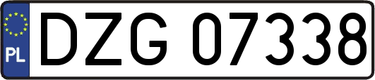 DZG07338