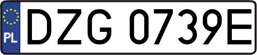 DZG0739E