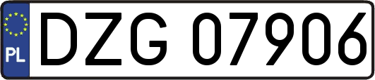 DZG07906