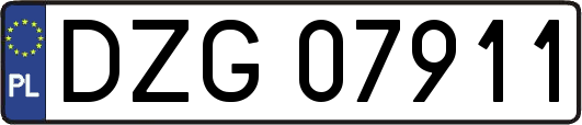 DZG07911