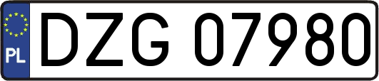 DZG07980