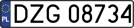 DZG08734