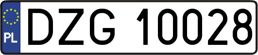 DZG10028