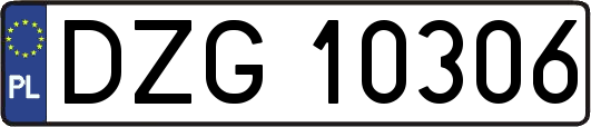 DZG10306