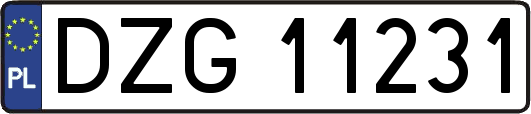 DZG11231