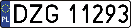 DZG11293