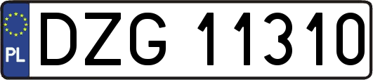 DZG11310