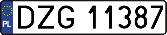 DZG11387