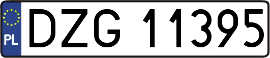 DZG11395