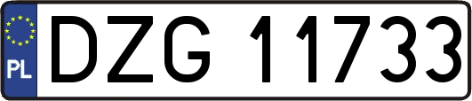 DZG11733