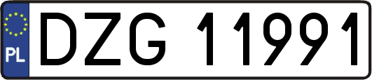 DZG11991