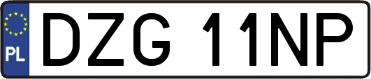 DZG11NP