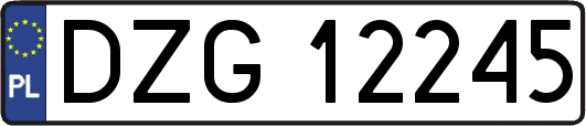 DZG12245