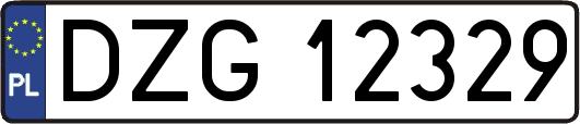 DZG12329