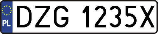 DZG1235X