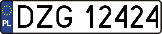 DZG12424