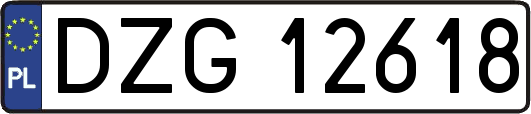 DZG12618