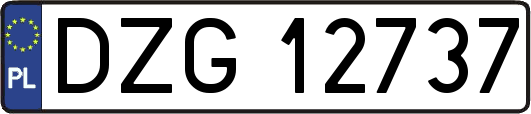 DZG12737