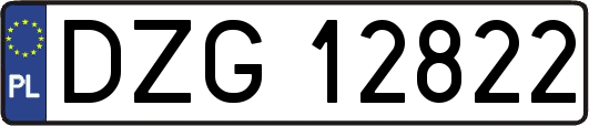 DZG12822