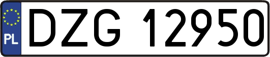 DZG12950