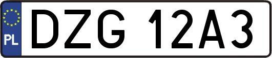 DZG12A3