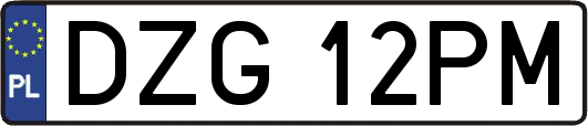 DZG12PM