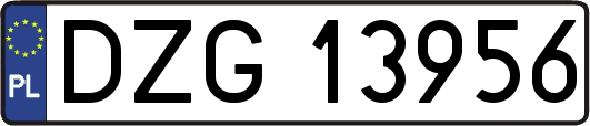 DZG13956