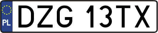 DZG13TX