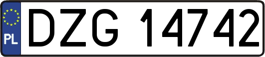 DZG14742