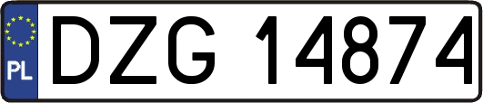 DZG14874