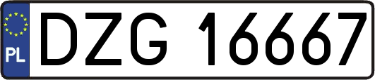DZG16667