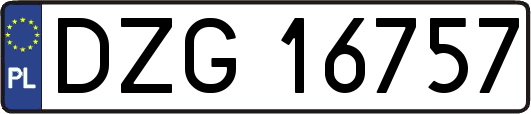 DZG16757