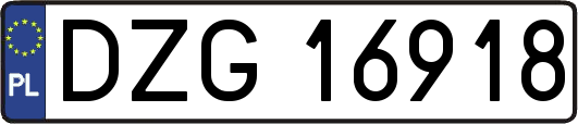 DZG16918