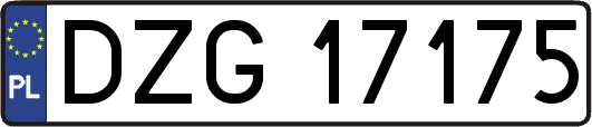 DZG17175