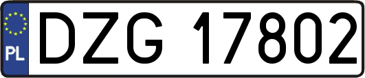 DZG17802