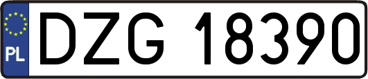 DZG18390
