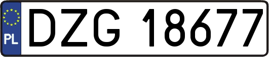 DZG18677