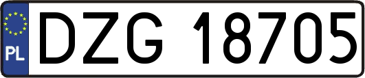 DZG18705