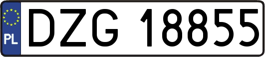 DZG18855